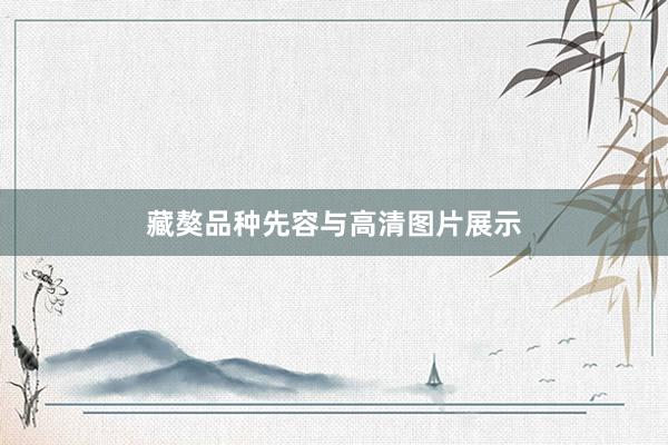 藏獒品种先容与高清图片展示